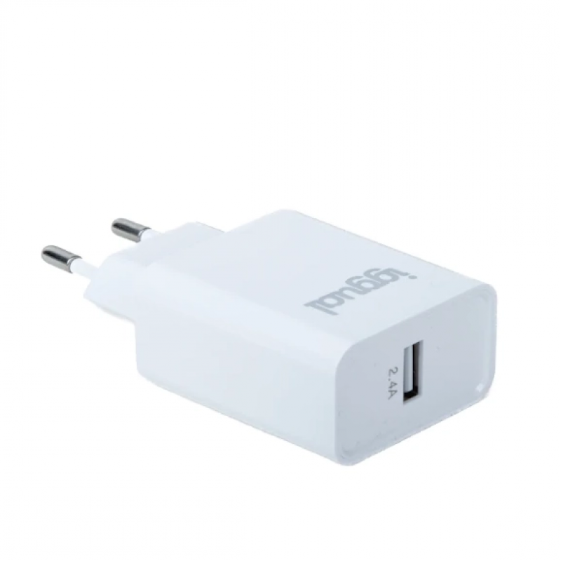 Carregador Iggual 1xUSB 5V/2.4A (12W) 1
