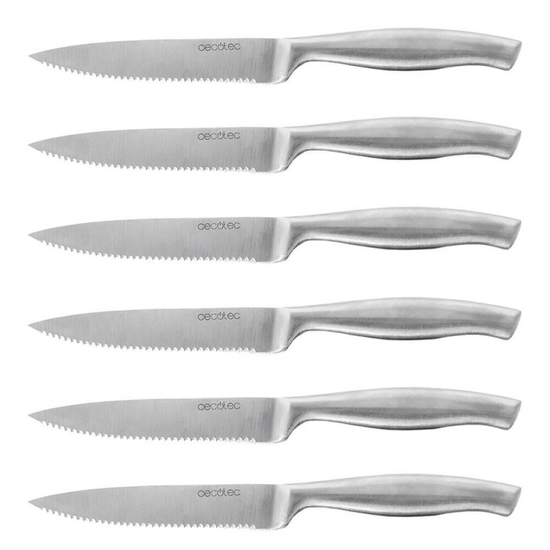 Set de 6 Facas Profissionais Cecotec Carne 1